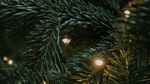 For Leaders Feeling Weary This Christmas