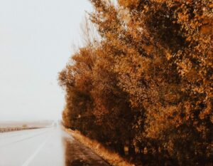 Environment, Gen Z, and the Church
