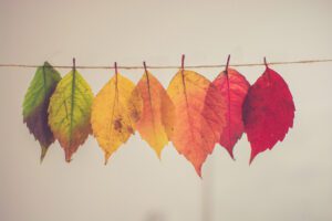 Leading Change: 4 Ways To Attack Problems Instead Of People