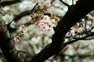 How To Navigate Transitions In Ministry