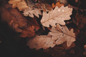 Three Things Kids Need to Hear From Ministry Leaders