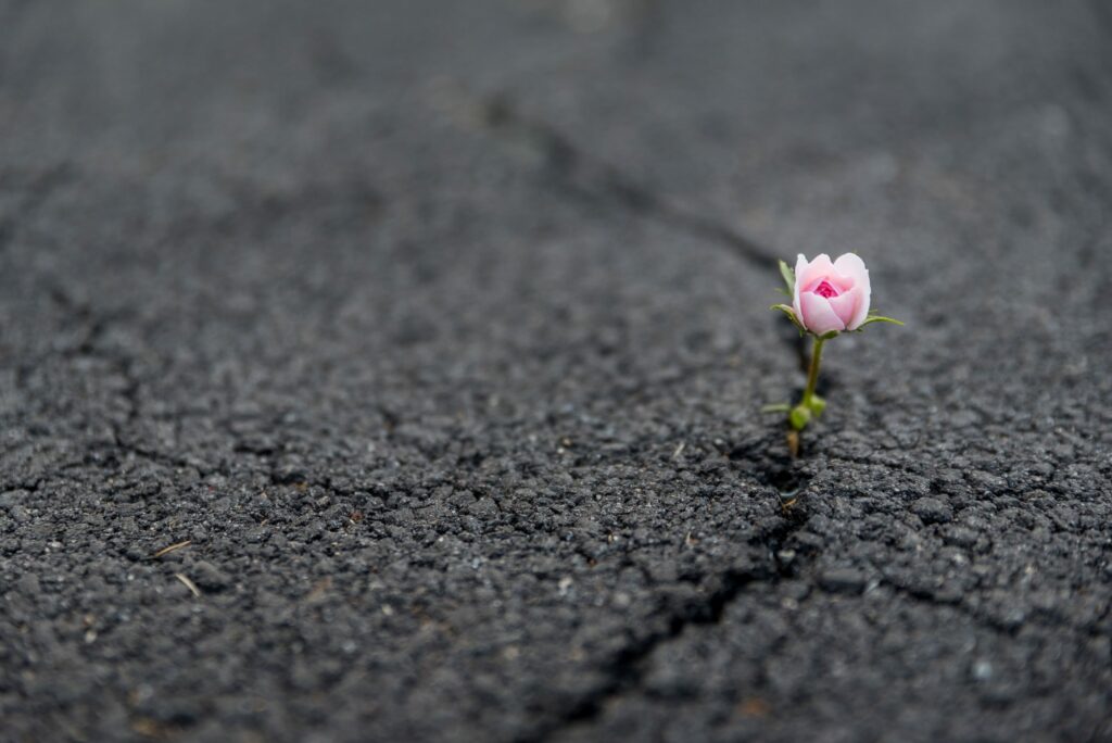 Resilient Faith: Orange Masterclass