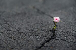Resilient Faith
