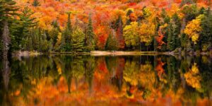 A Thanksgiving Prayer