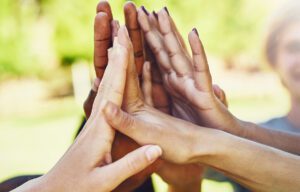 Winning with Team Alignment